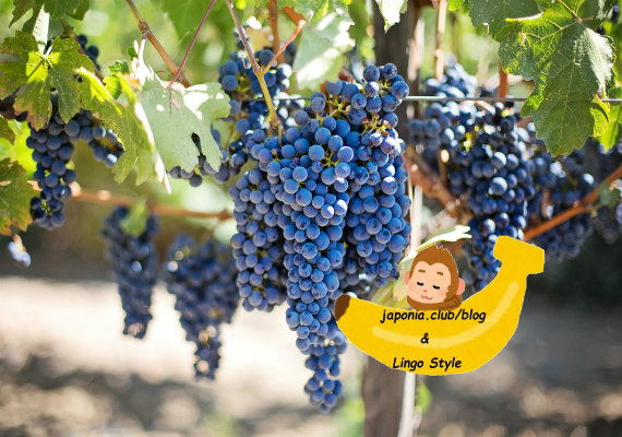 grapes